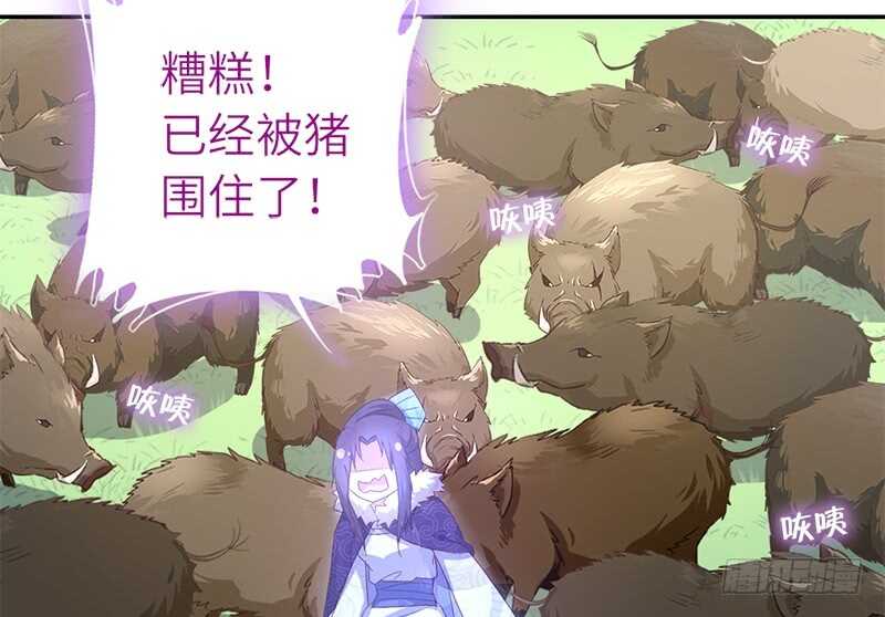 第33话 抓猪小能手30