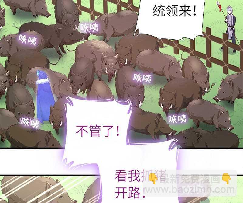 第33话 抓猪小能手34
