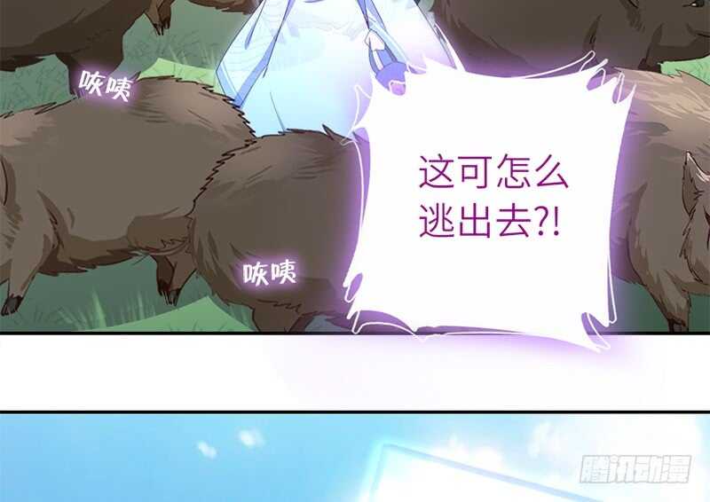 第33话 抓猪小能手31