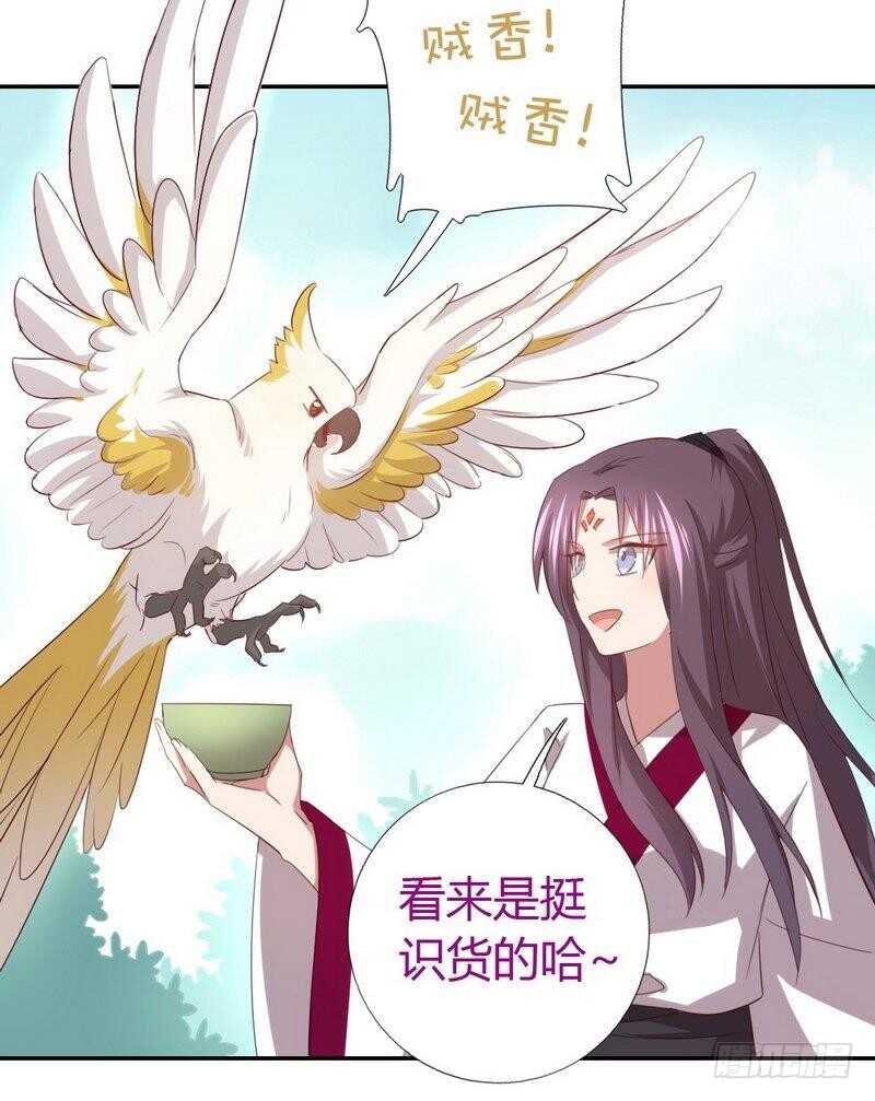 第79话有本事来battle啊12