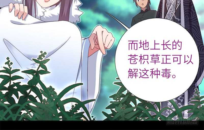 第37话 以德报怨？42