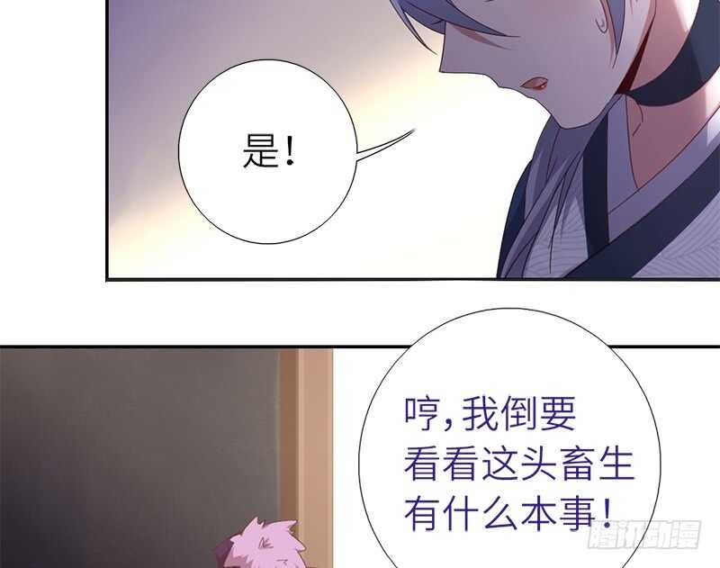 第33话 抓猪小能手49