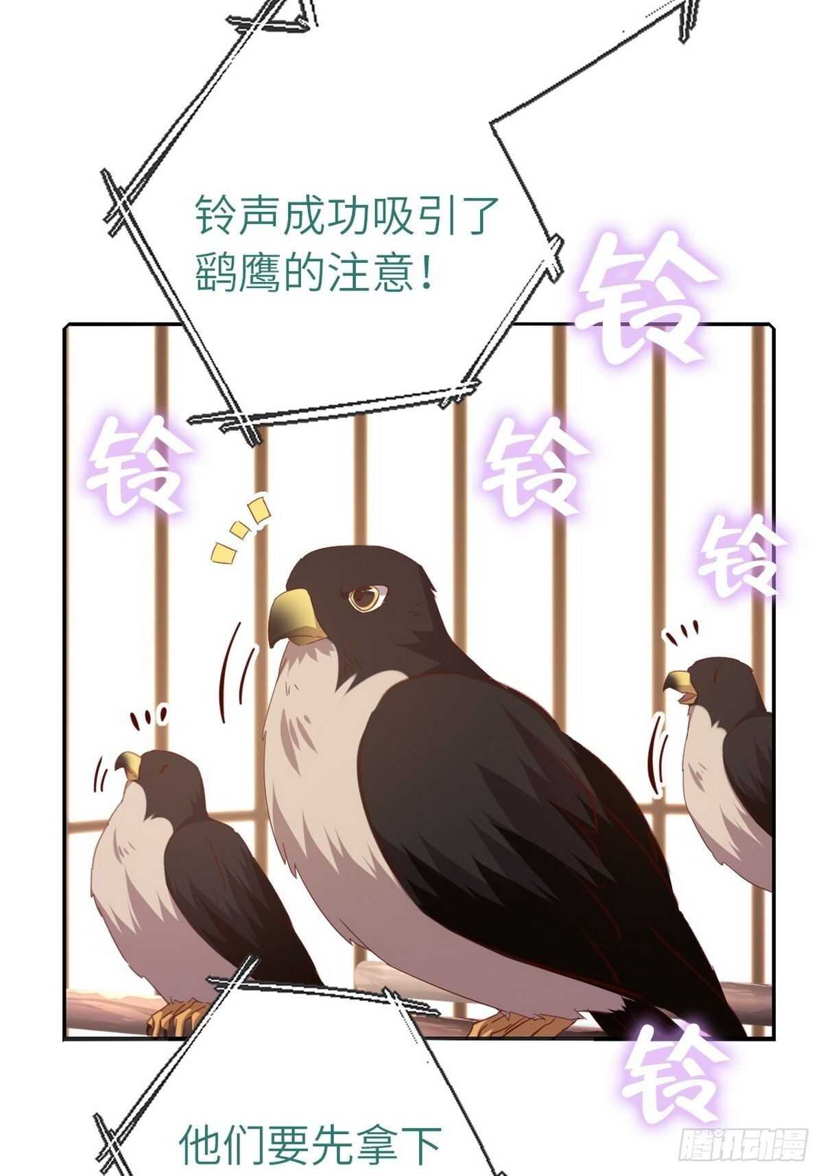 第164话 比赛开始26