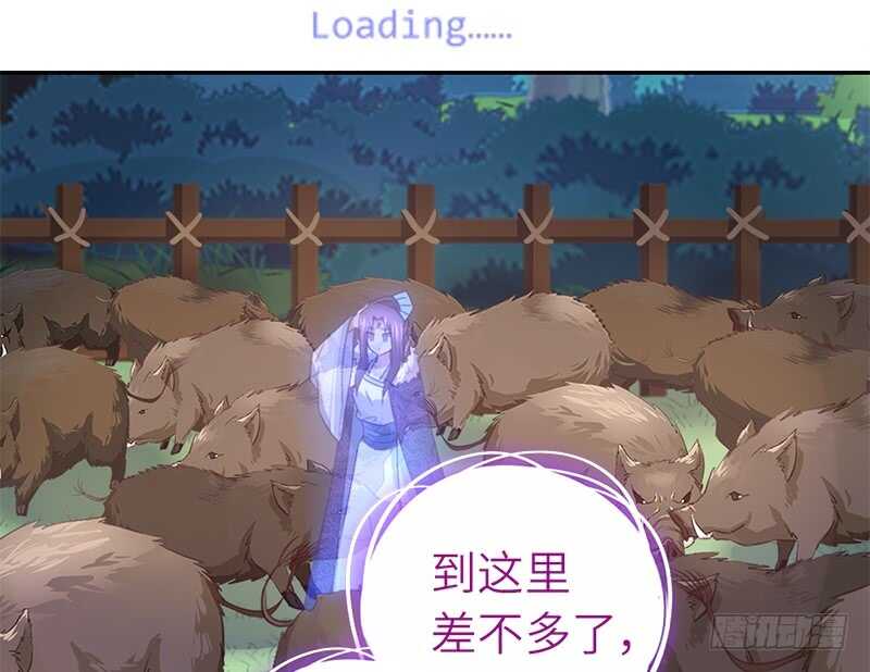 第33话 抓猪小能手14