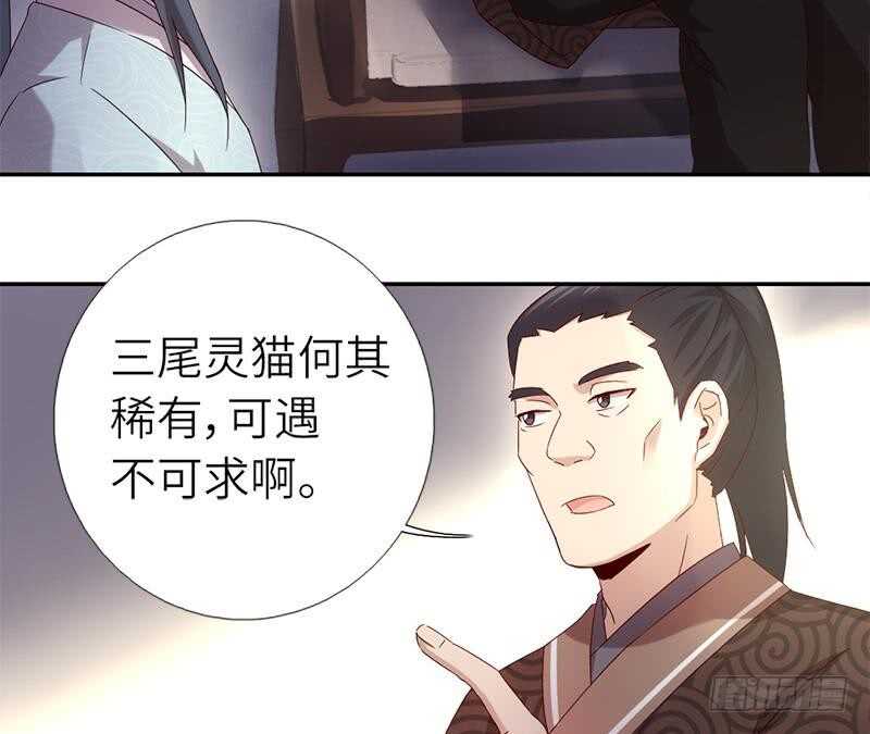 第52话 三尾灵猫20