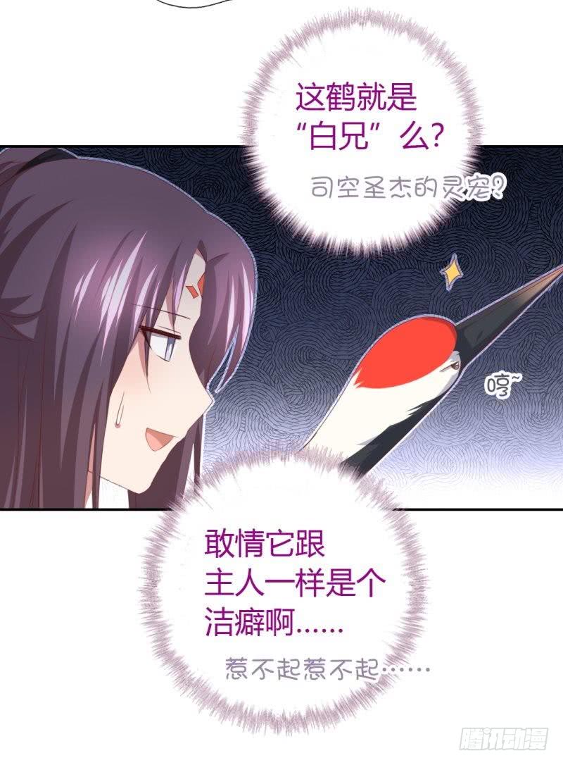 第84话  英雄救美13
