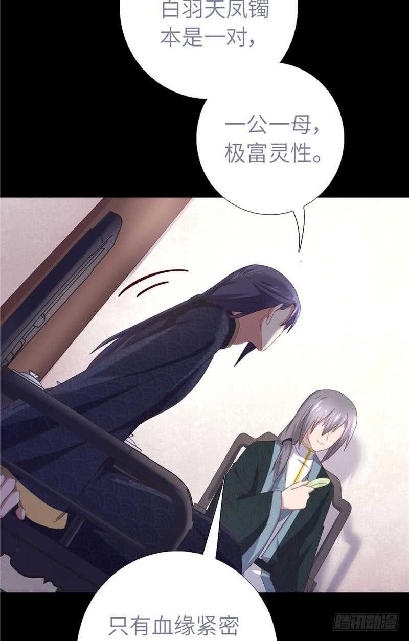 第115话 另一只镯子14
