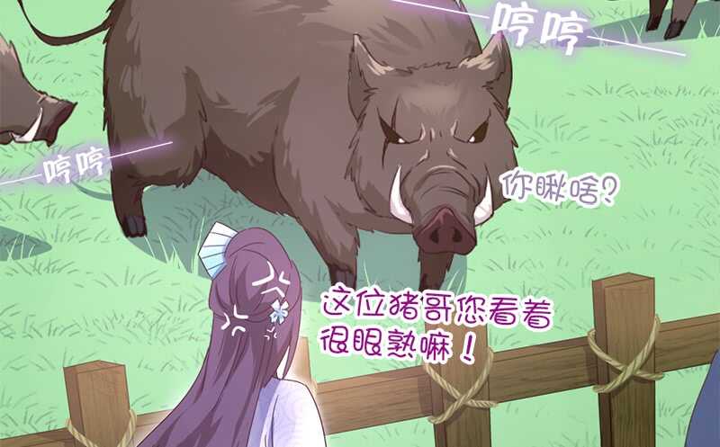 第31话 都是猪的错53