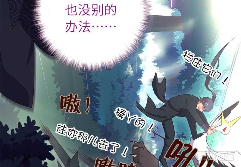 第29话 紫云公主6