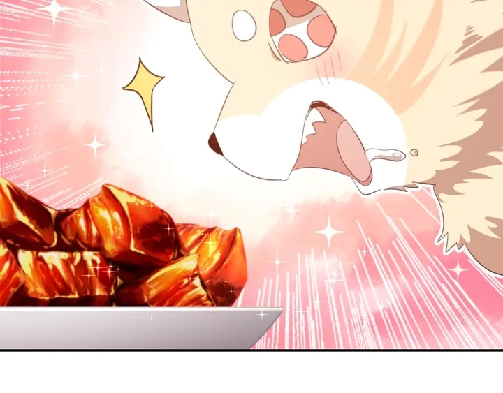 第194话 要紧事25