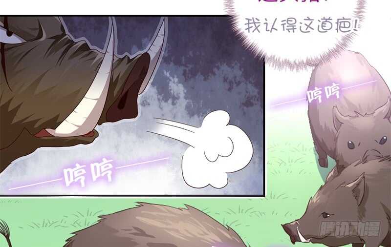 第31话 都是猪的错52