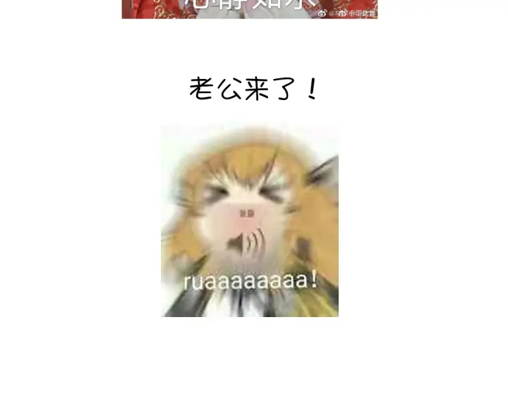第239话 受死吧！68