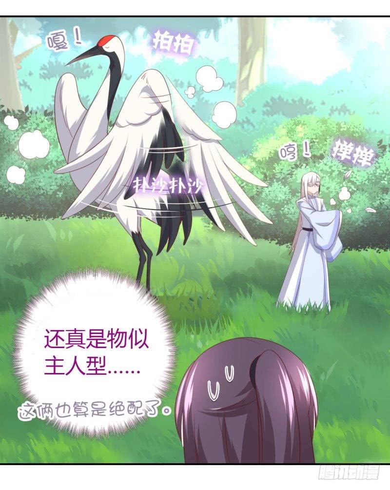 第84话  英雄救美15