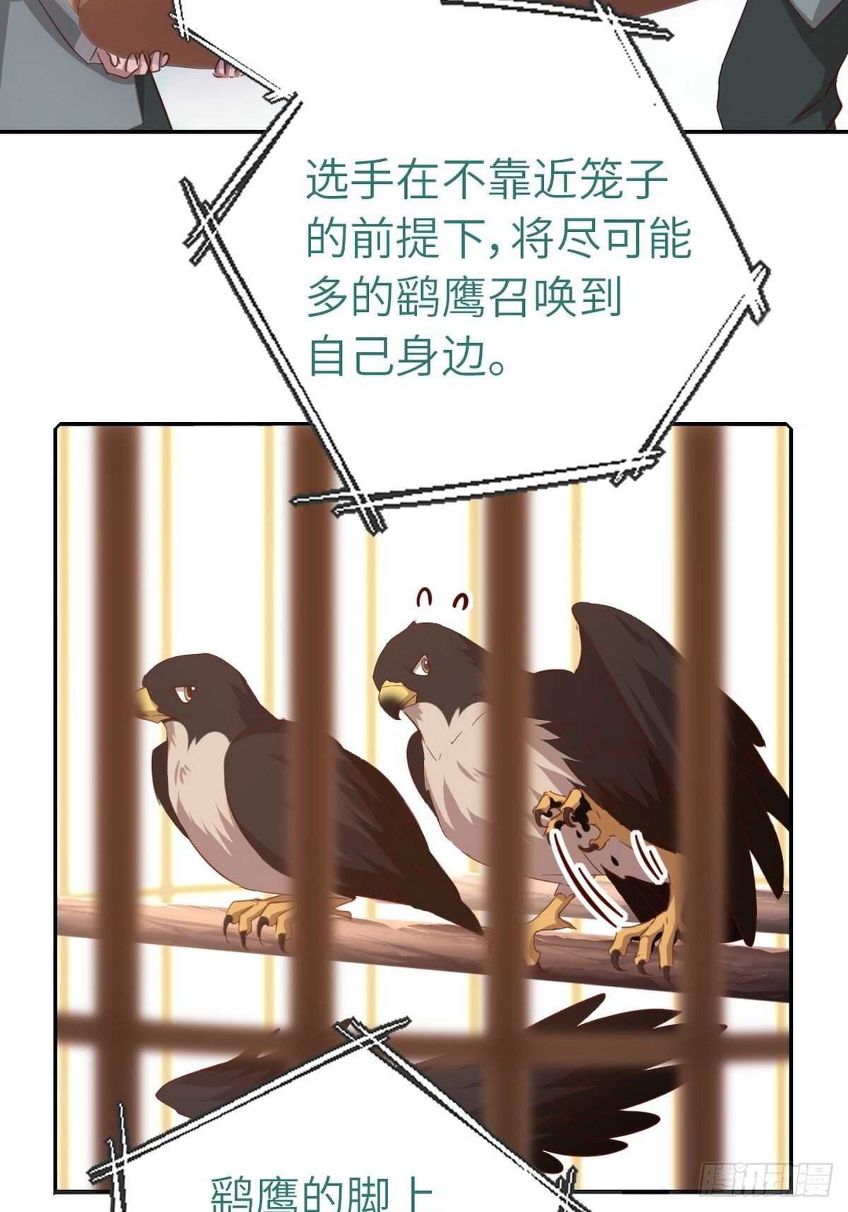 第164话 比赛开始21