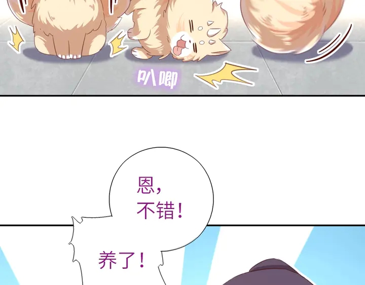 第194话 要紧事32