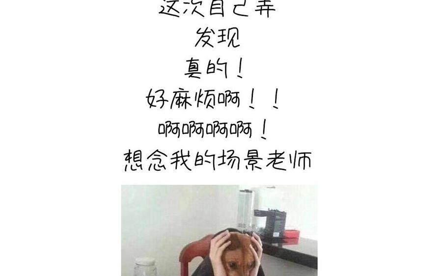 第259话牡丹会74