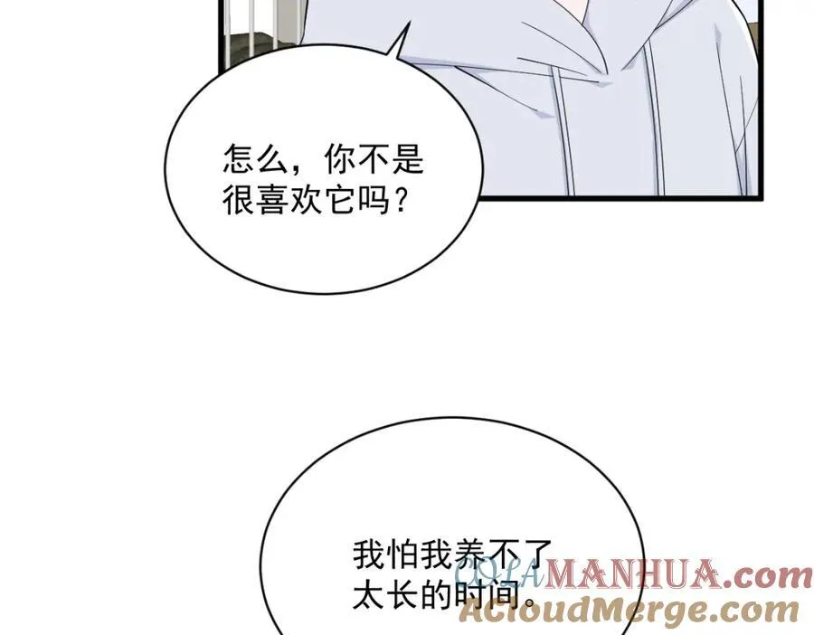 第184话 暴风雨前的宁静36