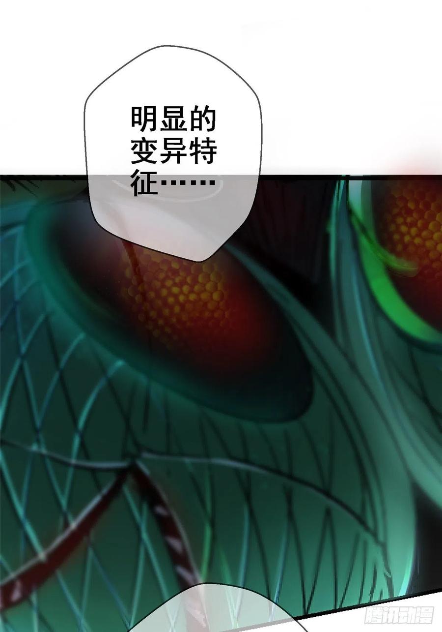 46.曙光17