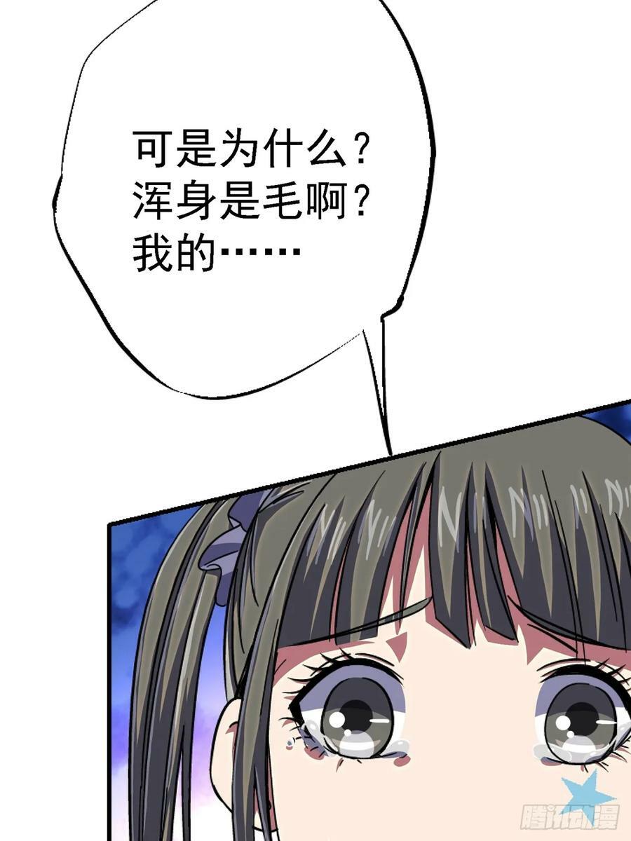 84.新竞品56