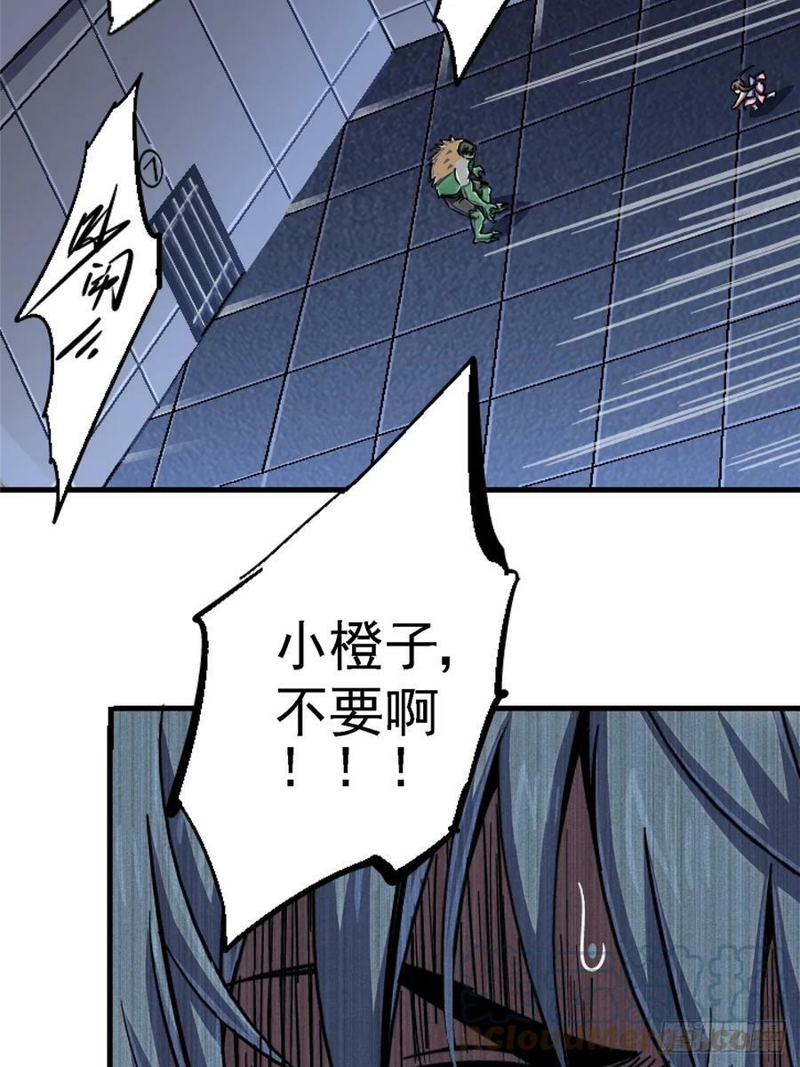 84.新竞品75