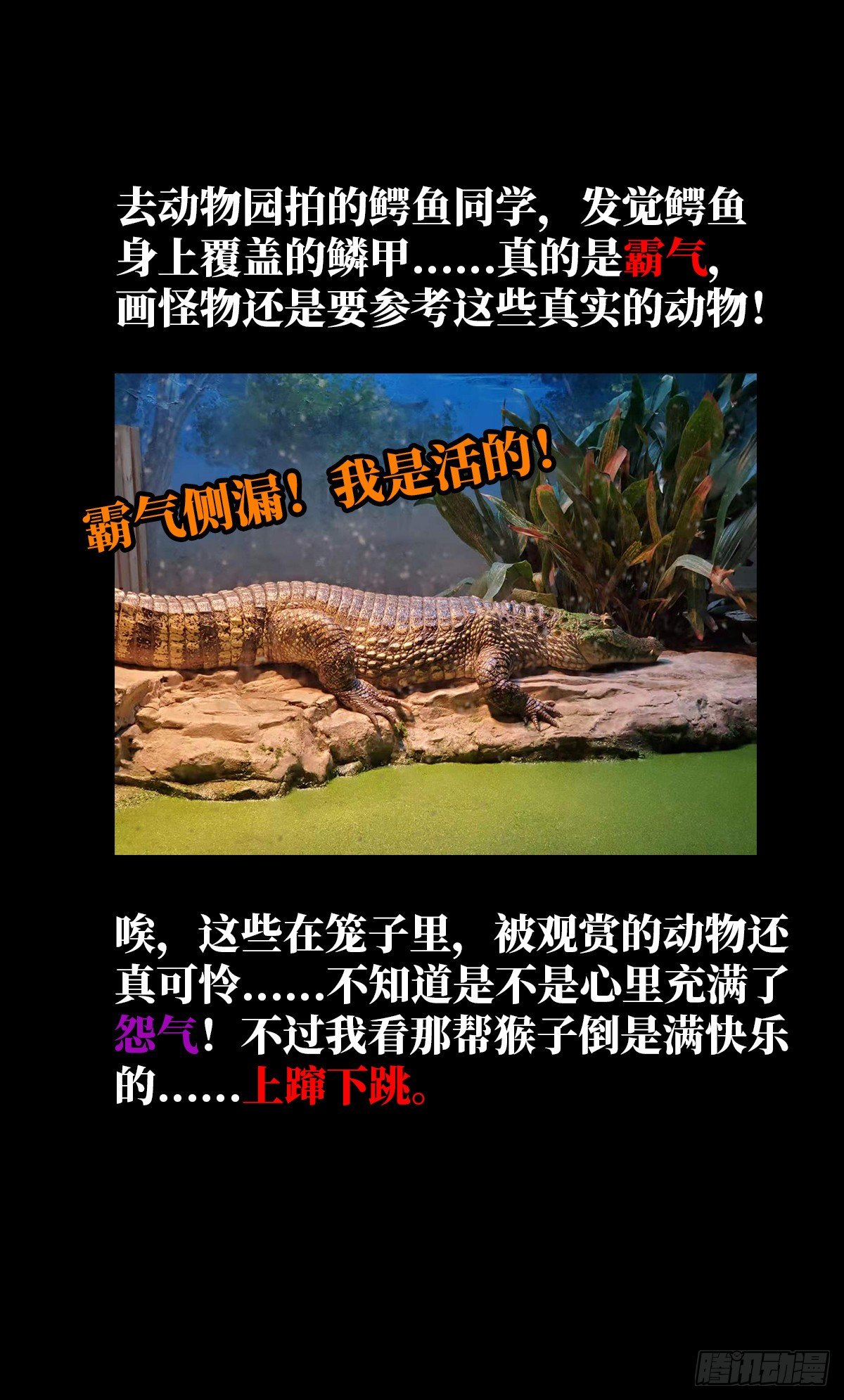 15.黑白70