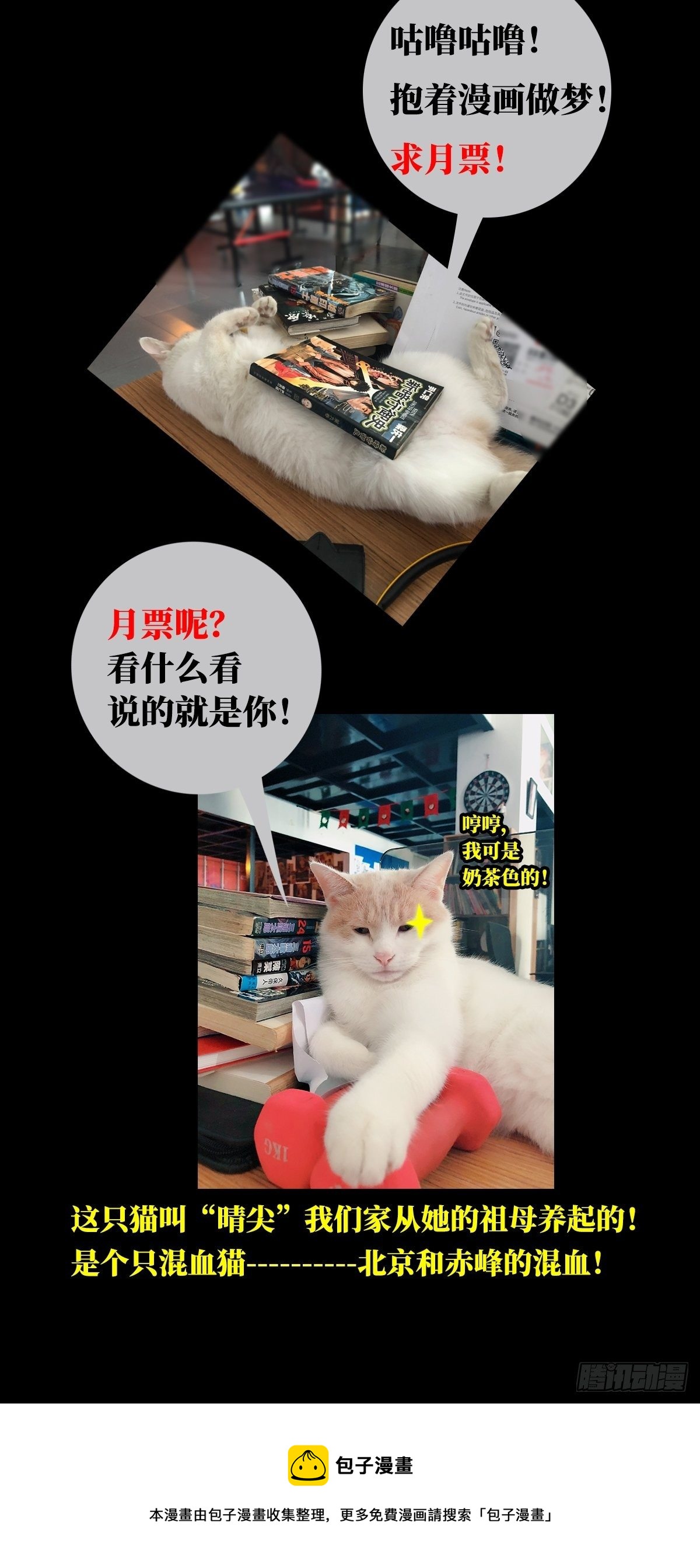 51.双瞳1