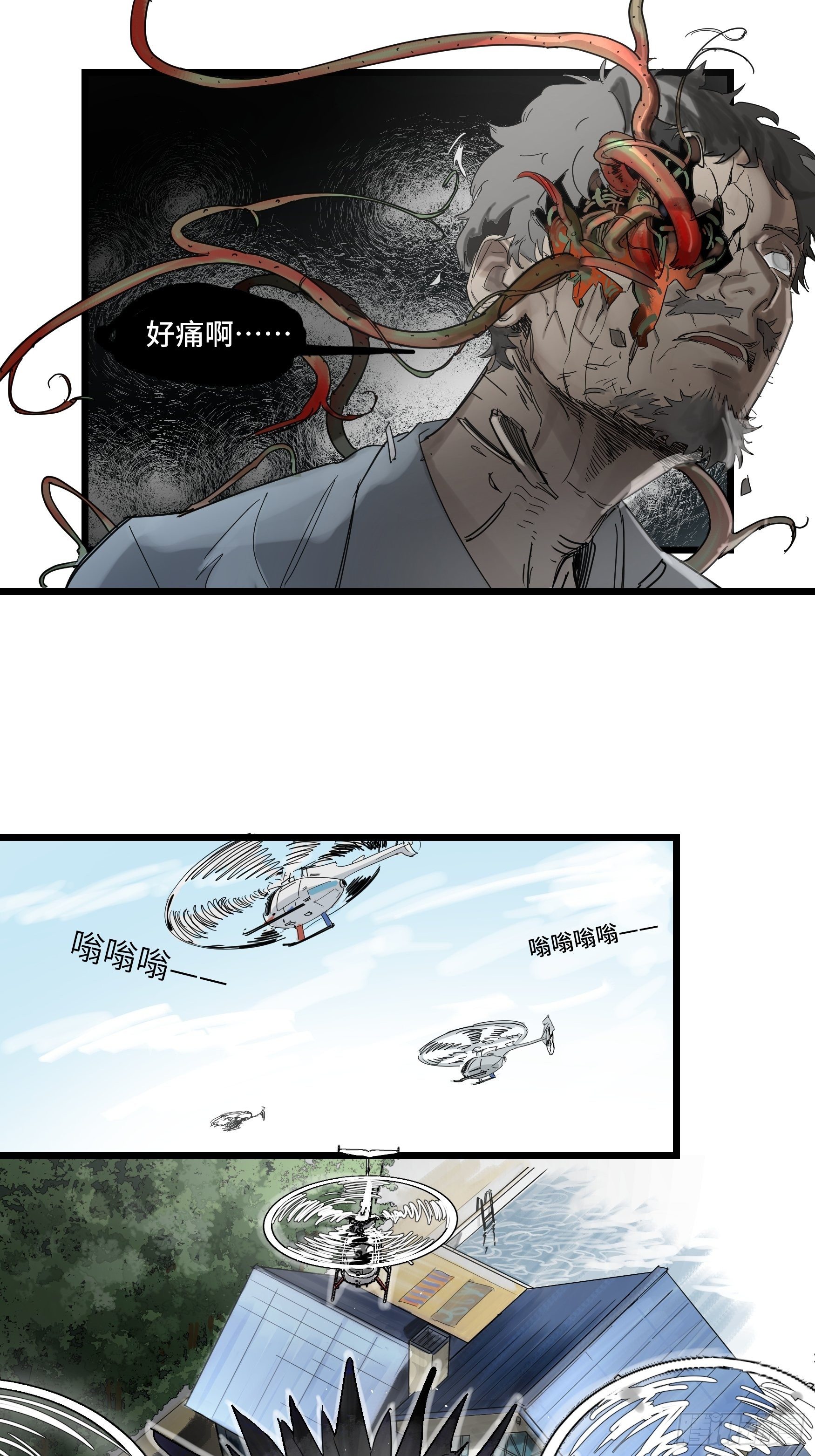 金银戒 48 绽放的埃及蓝睡莲4