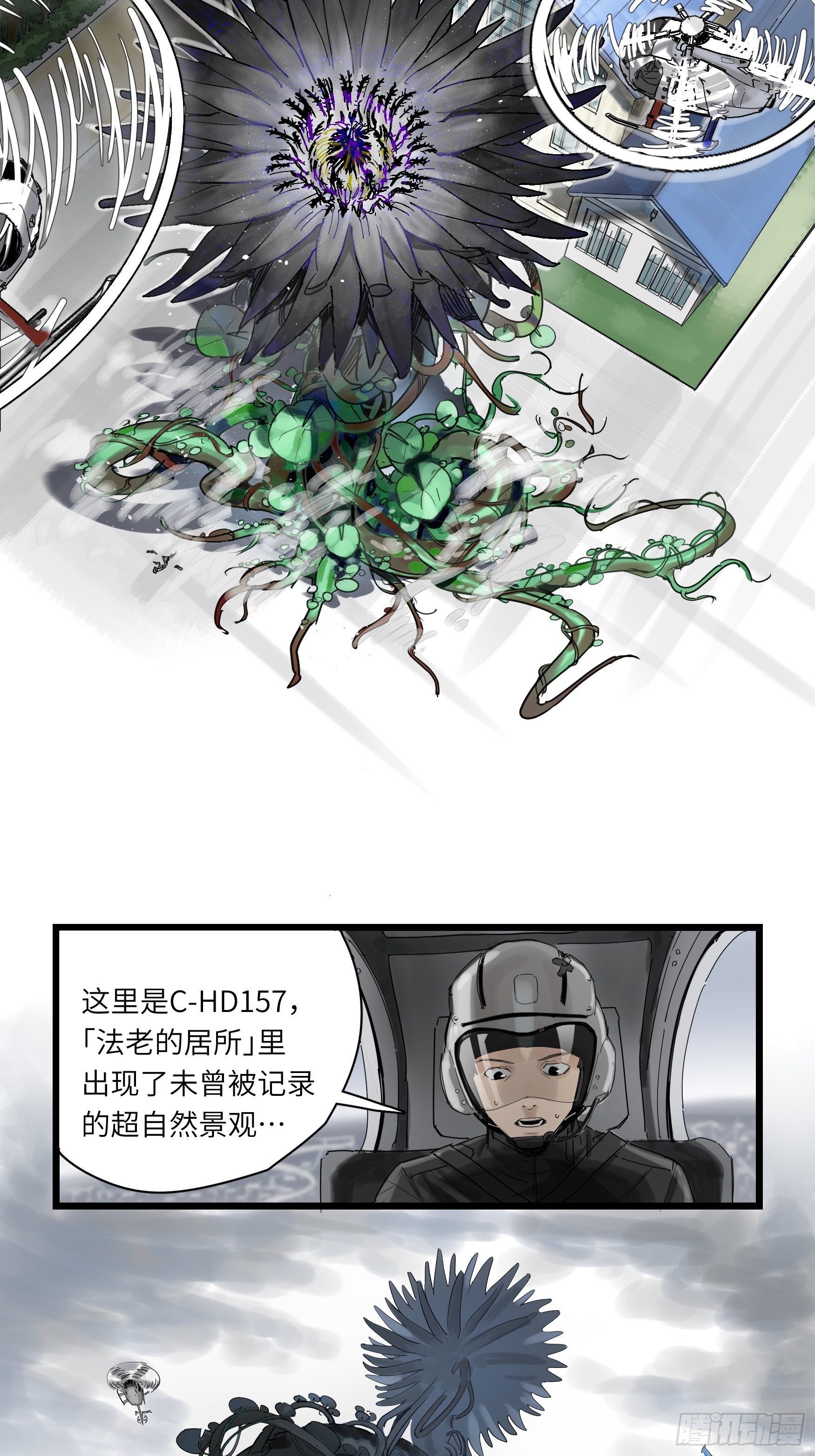金银戒 48 绽放的埃及蓝睡莲5