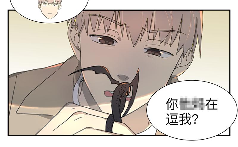 金银戒 03 点石成金16