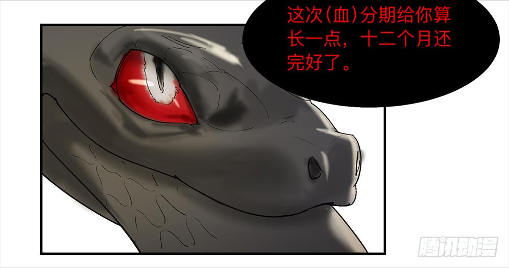 金银戒 10 肉食者25
