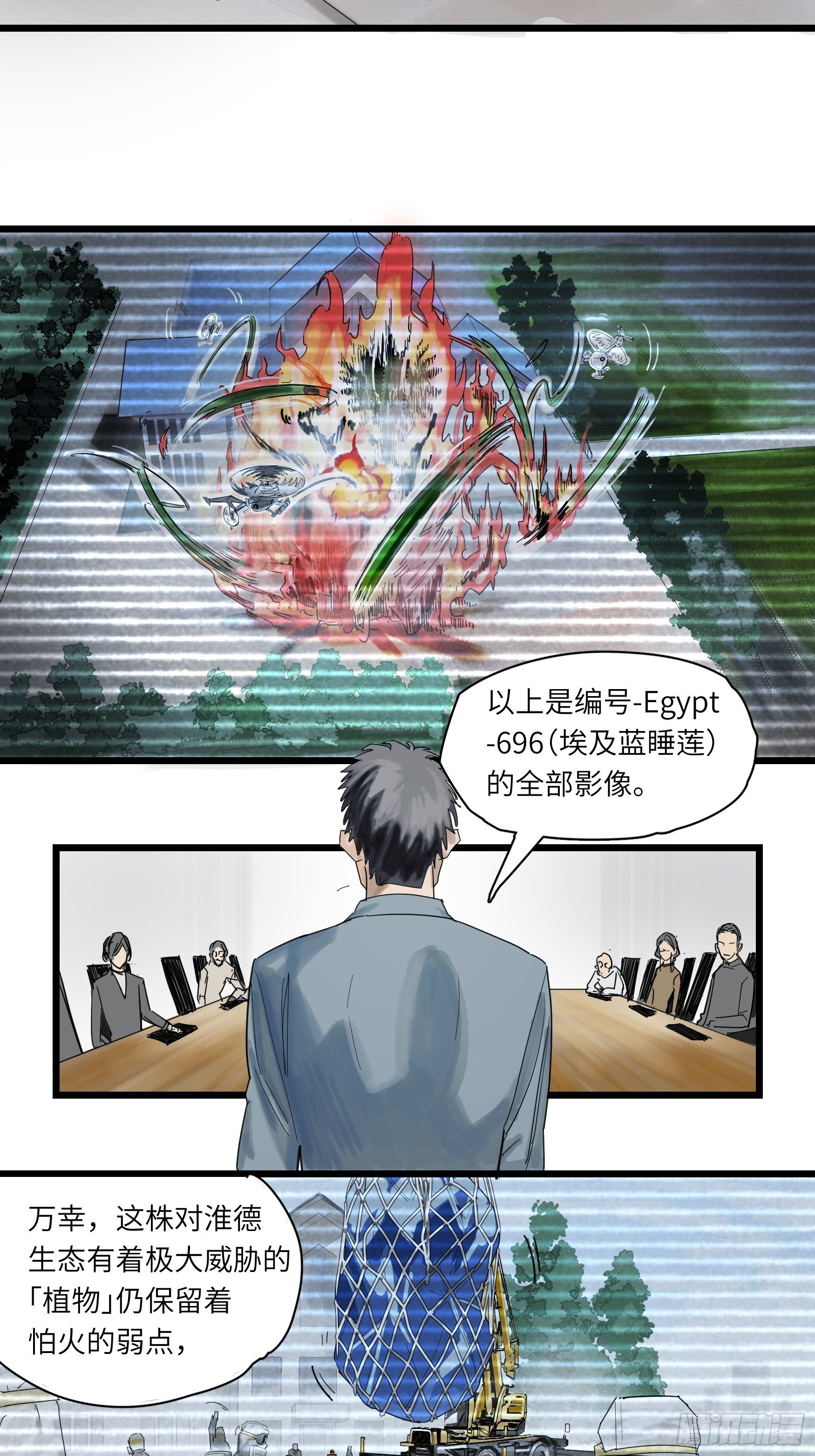 金银戒 48 绽放的埃及蓝睡莲7