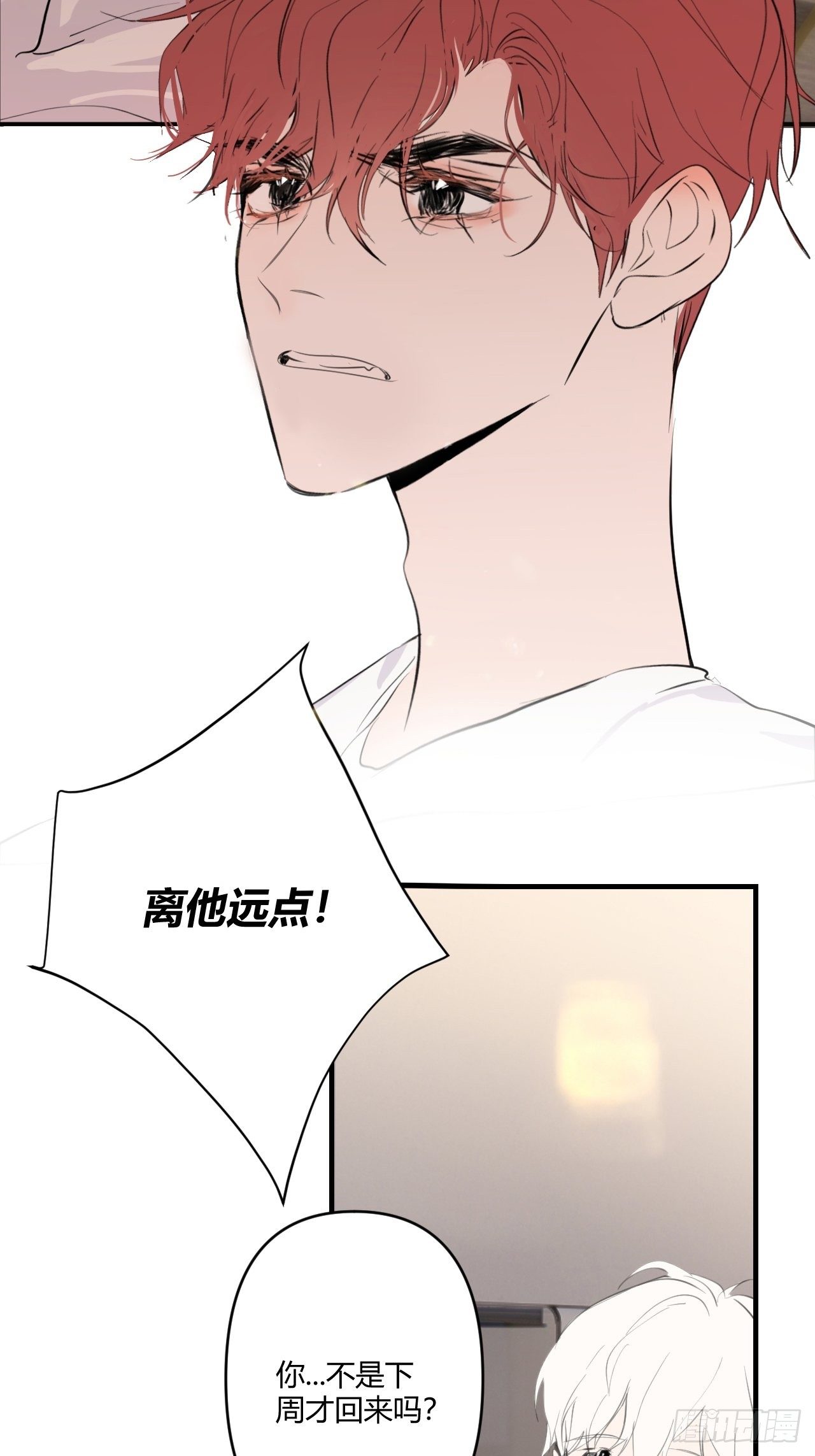 鱼缸17