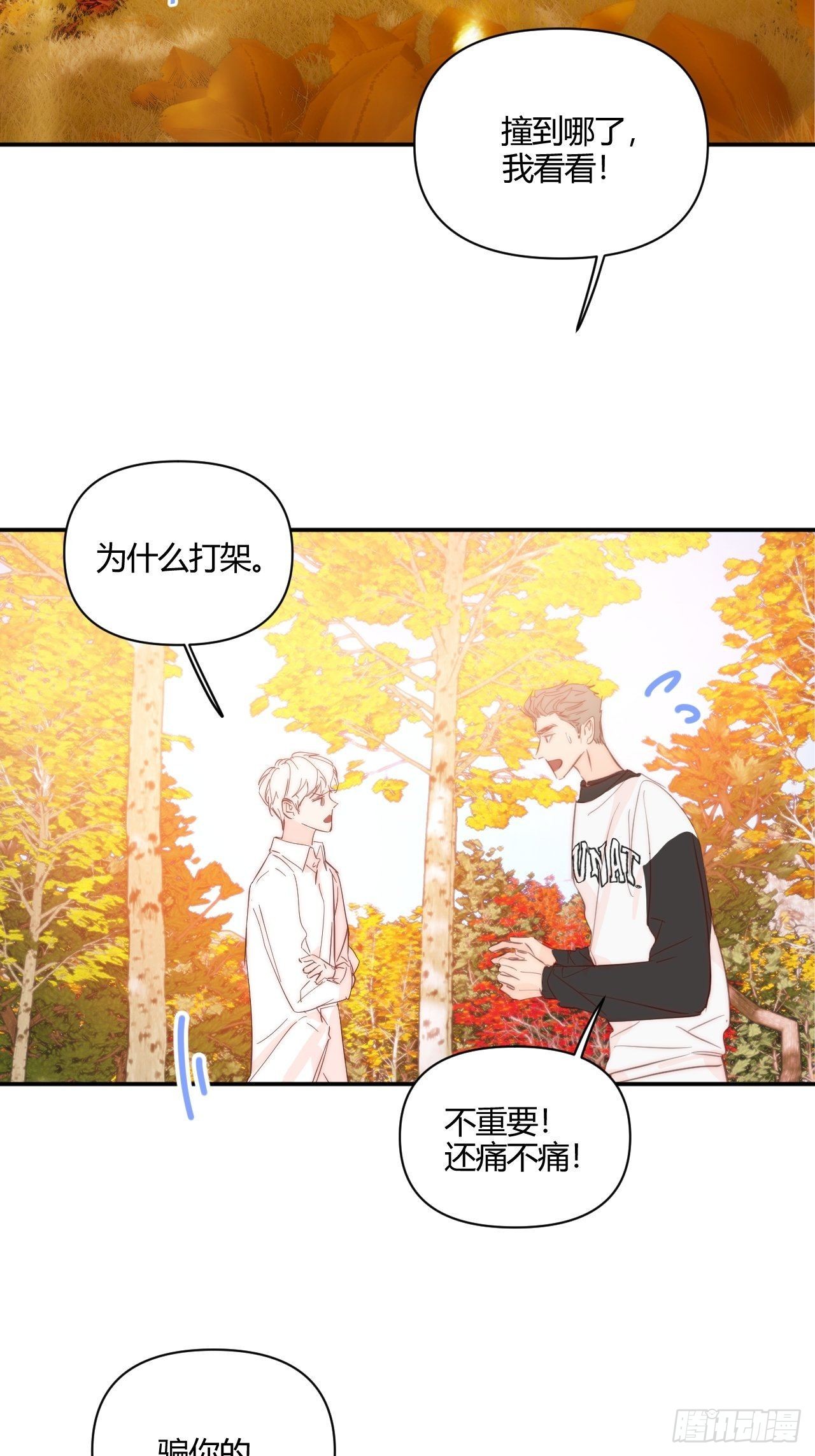 Fever17