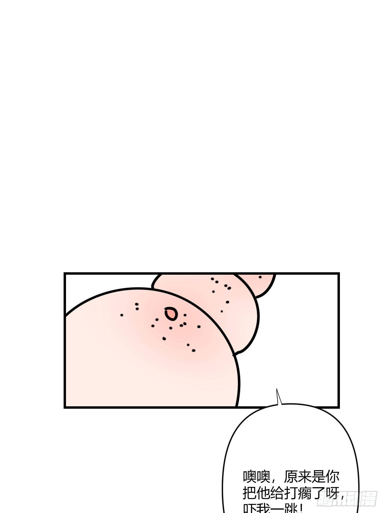 鱼缸27