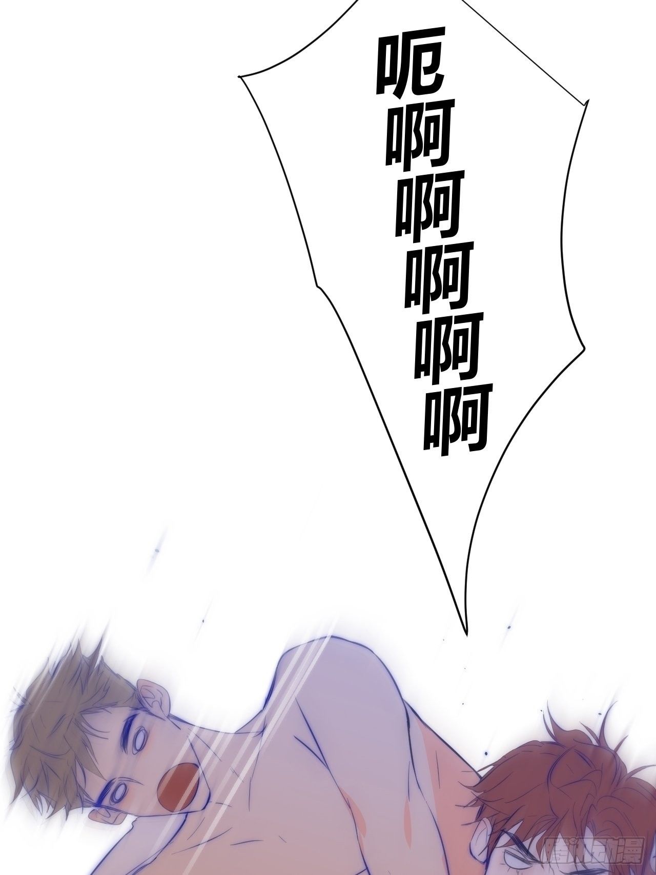 鱼缸24