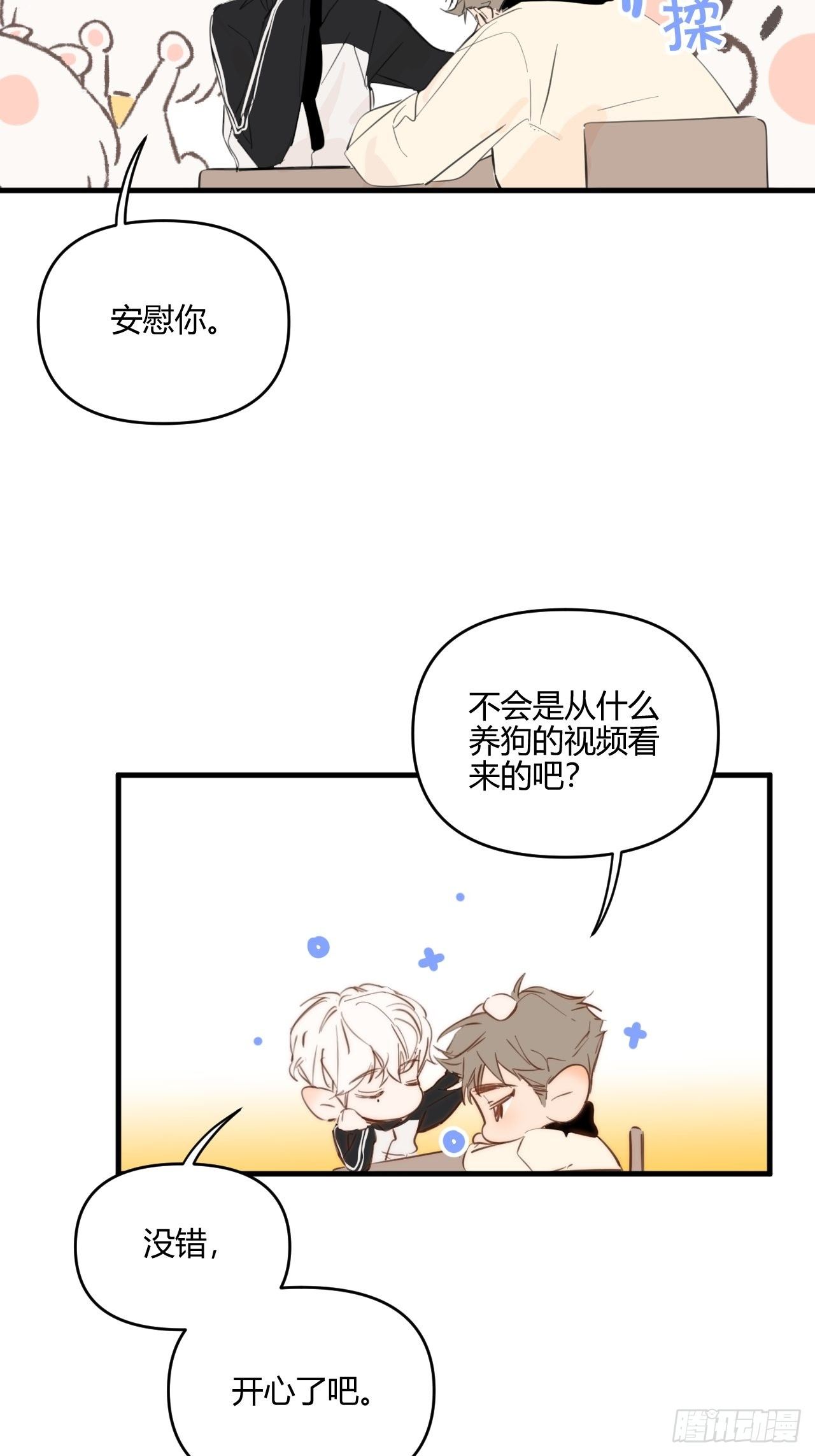 短信31