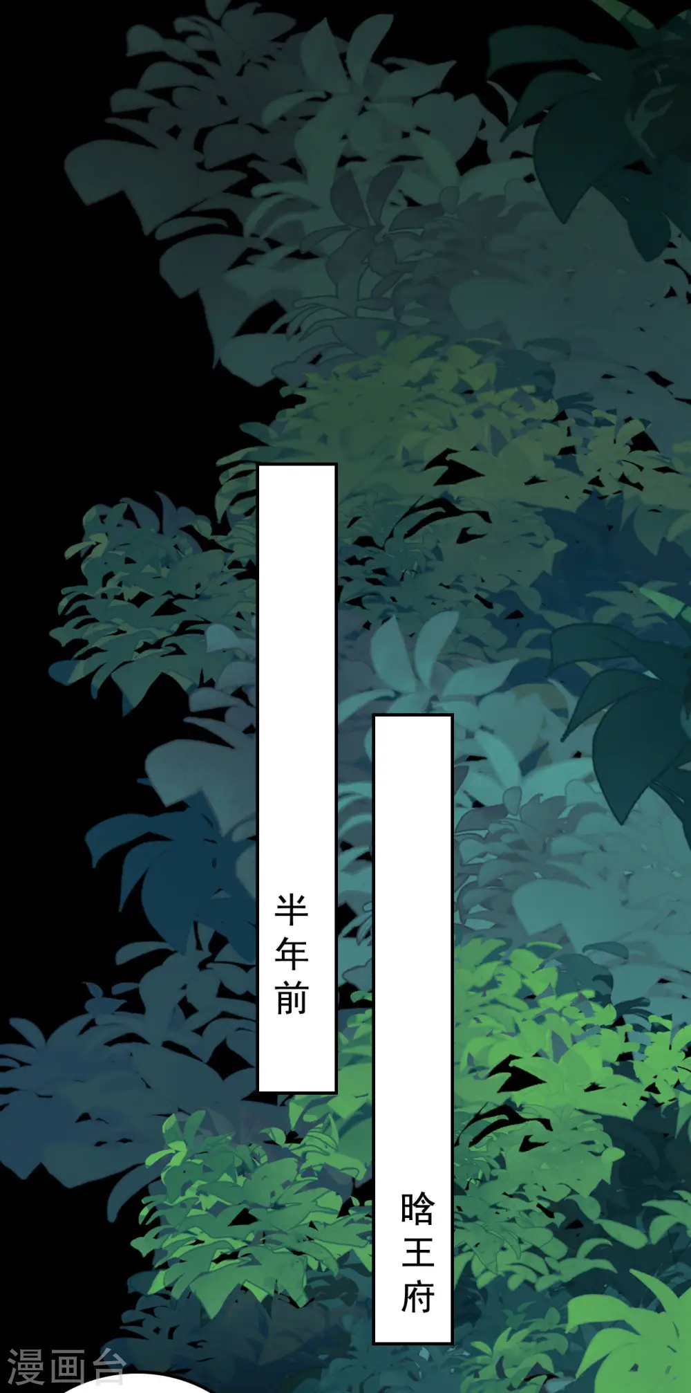 第246话 莲妃往事12