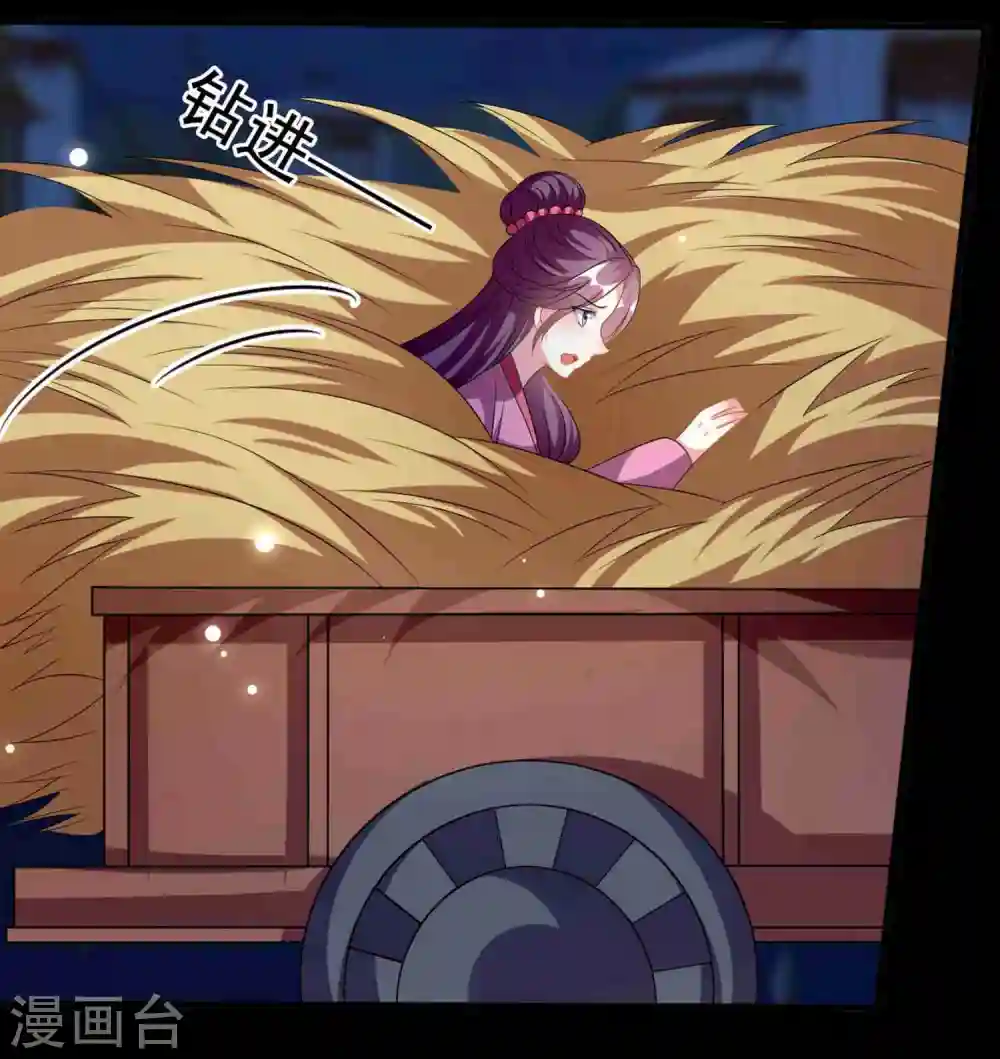 第217话 逃跑计划14