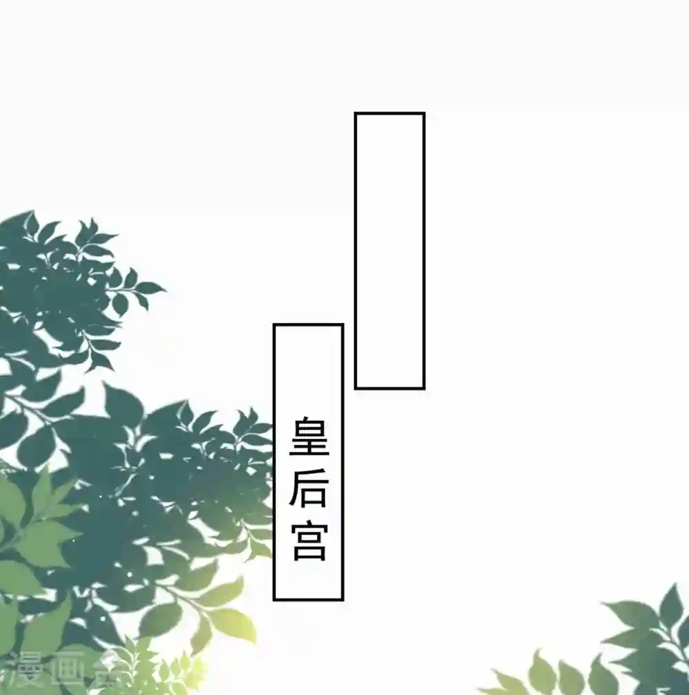 第223话 选妃？7
