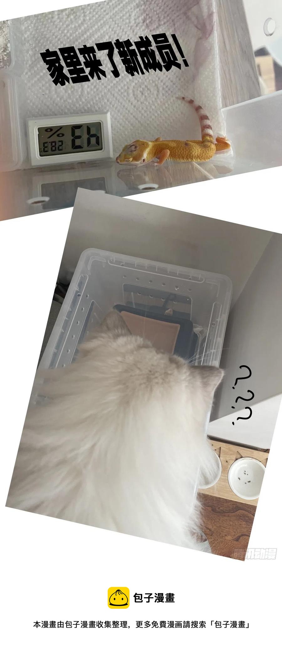 036癔症，图灵19
