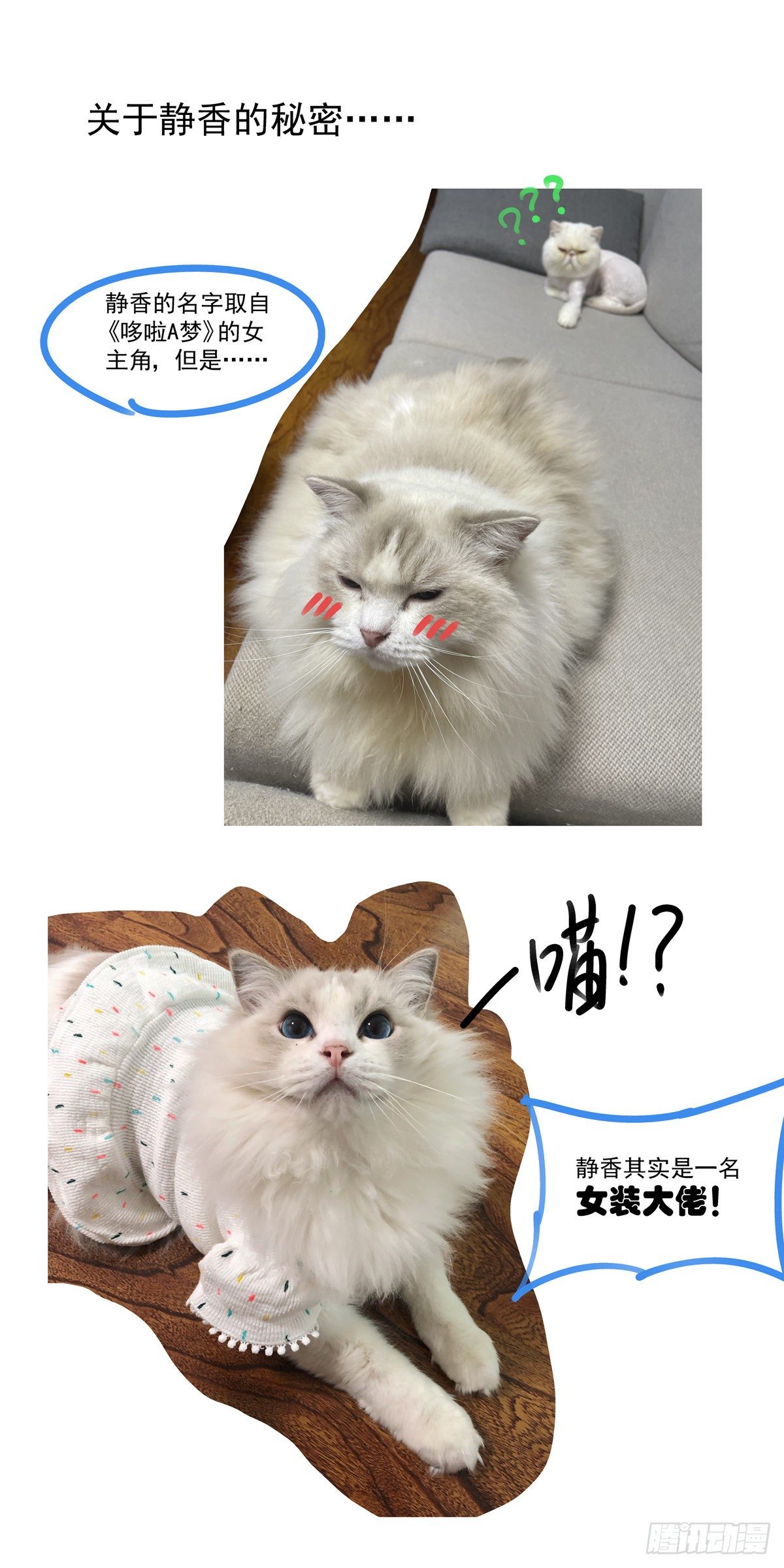009一败已百年23