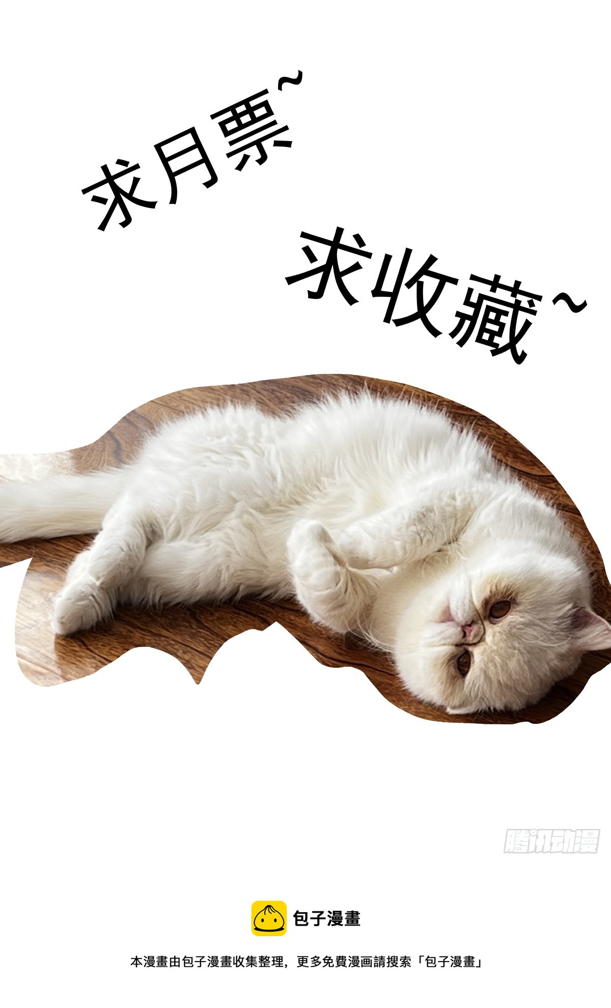 080征召15