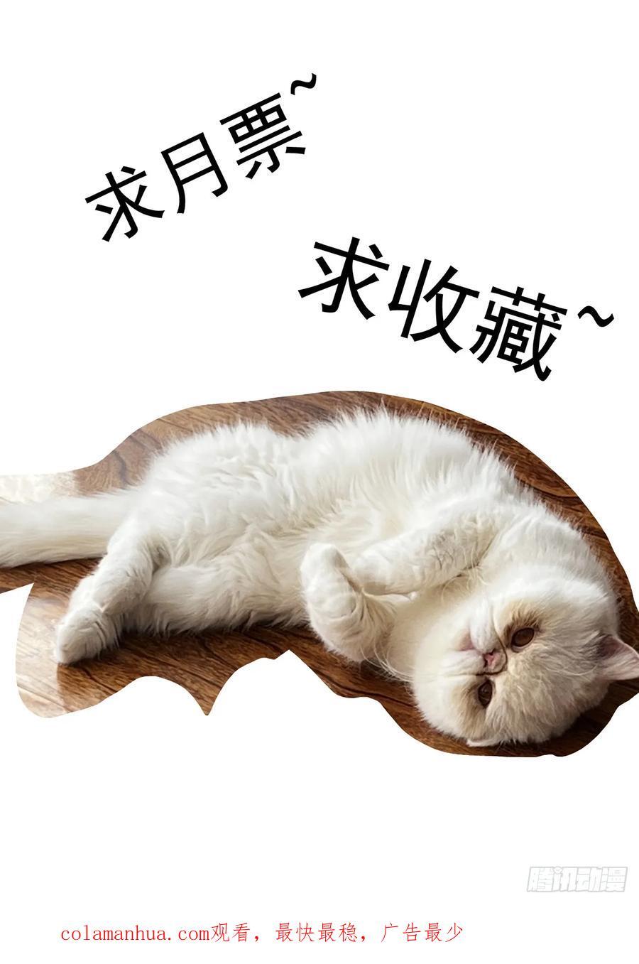 120纸飞机15