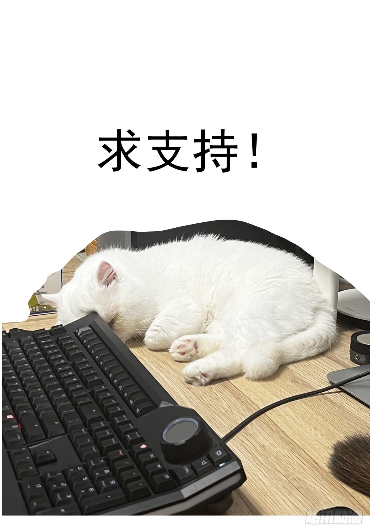 064绝对防御14