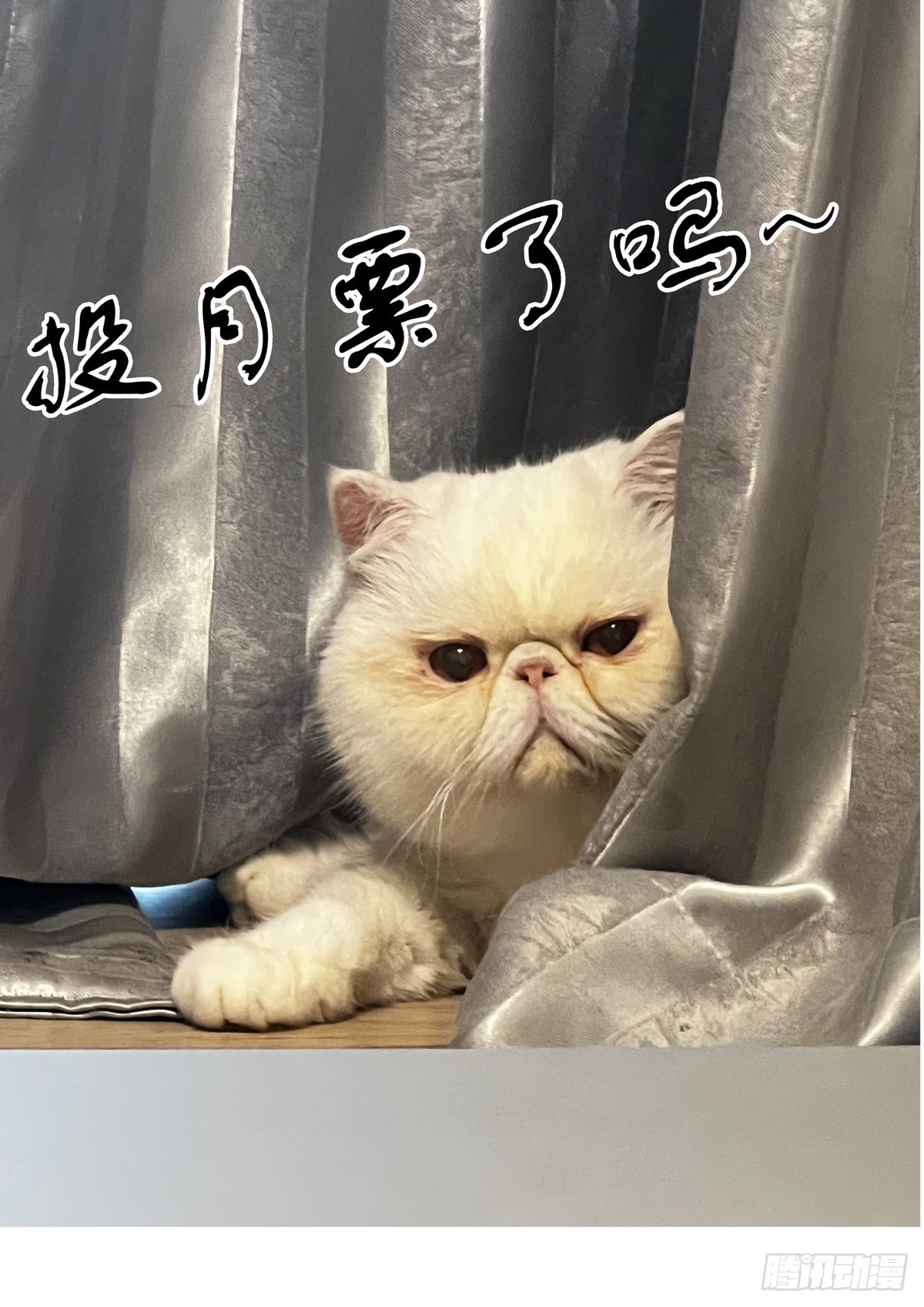 074追兵将至16
