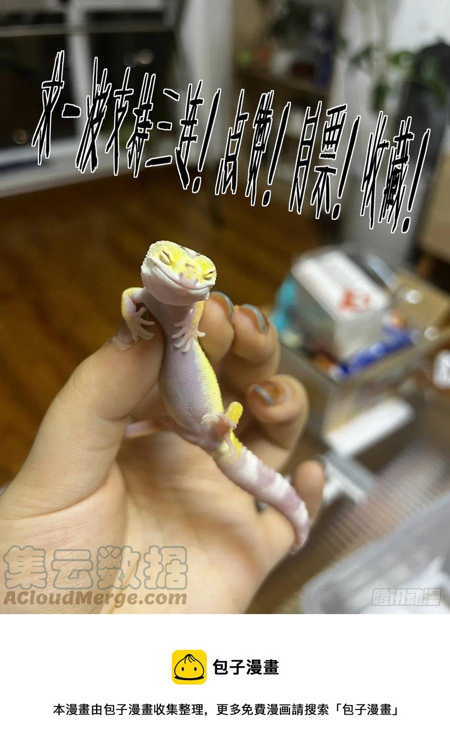 039榜单、江湖规矩与狂猎犬18