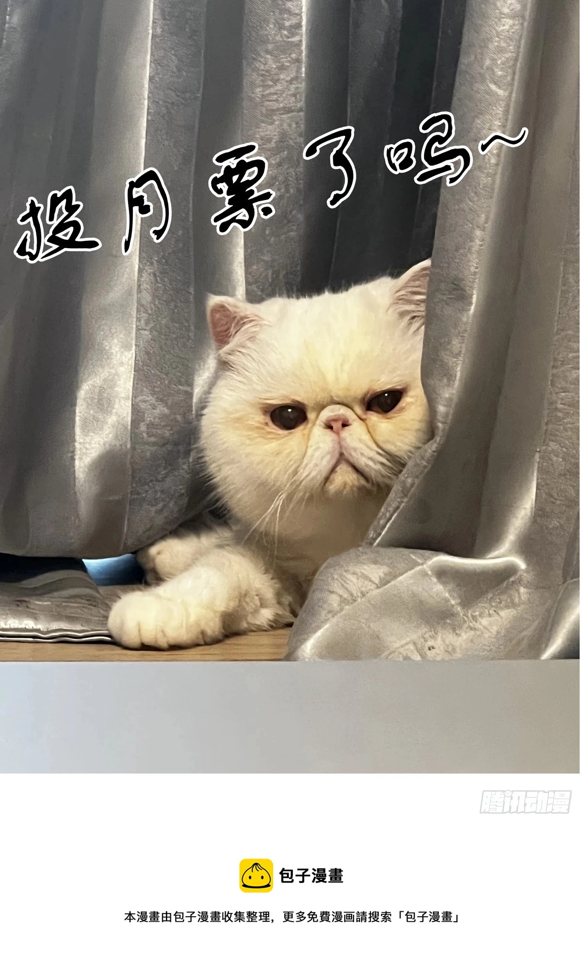 088螳螂捕雀15