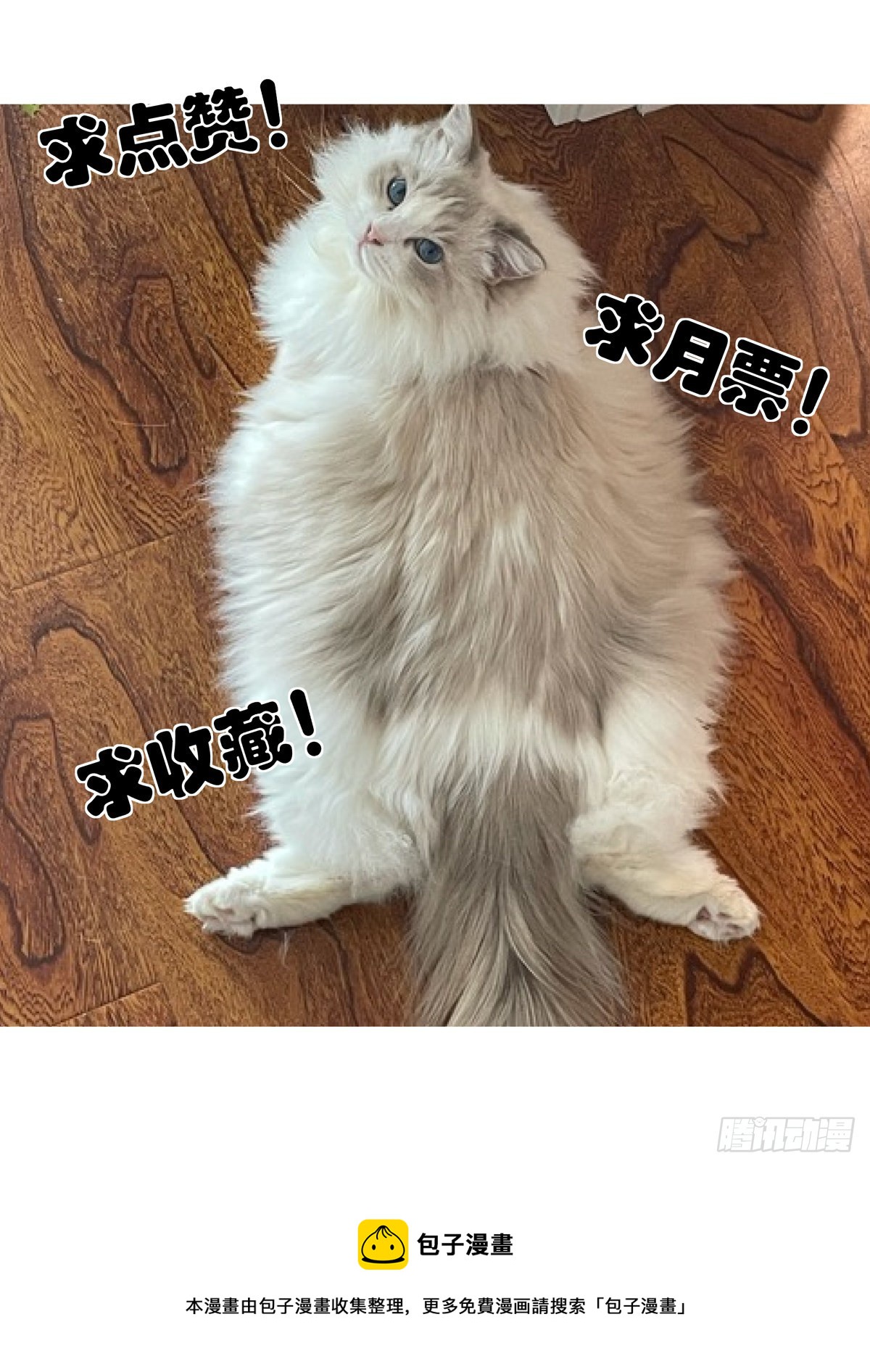 058小毒虫15