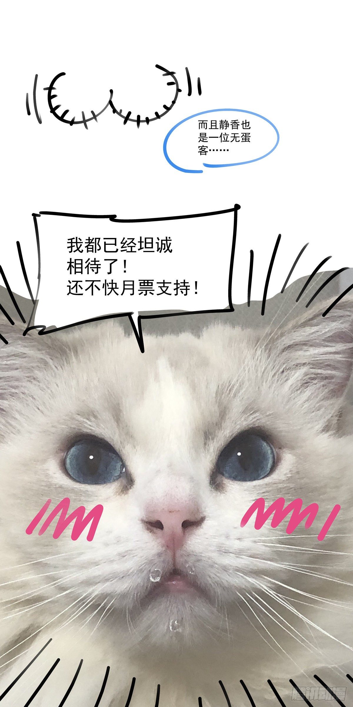 009一败已百年24