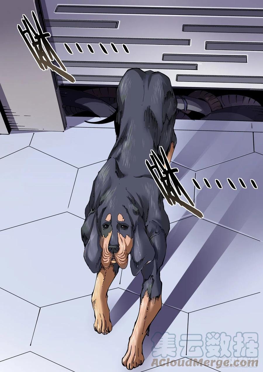 039榜单、江湖规矩与狂猎犬14